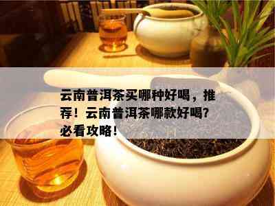 云南普洱茶买哪种好喝，推荐！云南普洱茶哪款好喝？必看攻略！