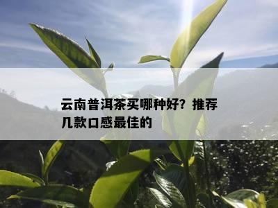 云南普洱茶买哪种好？推荐几款口感更佳的