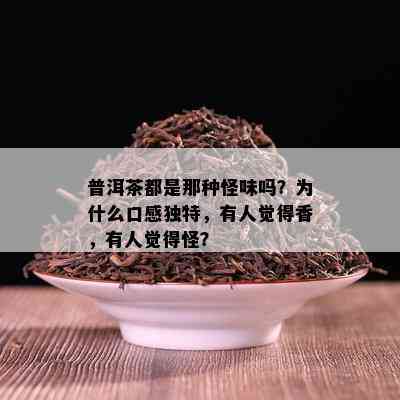 普洱茶都是那种怪味吗？为什么口感独特，有人觉得香，有人觉得怪？