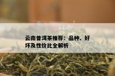 云南普洱茶推荐：品种、好坏及性价比全解析