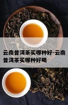 云南普洱茶买哪种好-云南普洱茶买哪种好喝