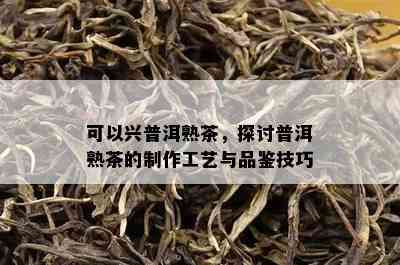 可以兴普洱熟茶，探讨普洱熟茶的制作工艺与品鉴技巧