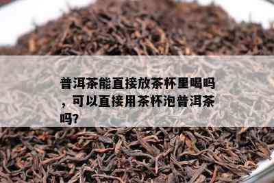 普洱茶能直接放茶杯里喝吗，可以直接用茶杯泡普洱茶吗？