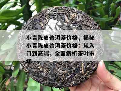 小青陈皮普洱茶价格，揭秘小青陈皮普洱茶价格：从入门到高端，全面解析茶叶市场