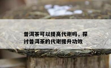 普洱茶可以提高代谢吗，探讨普洱茶的代谢提升功效