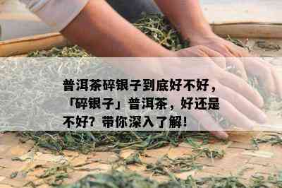 普洱茶碎银子到底好不好，「碎银子」普洱茶，好还是不好？带你深入了解！