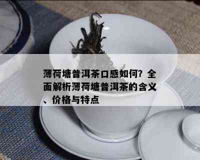 薄荷塘普洱茶口感如何？全面解析薄荷塘普洱茶的含义、价格与特点