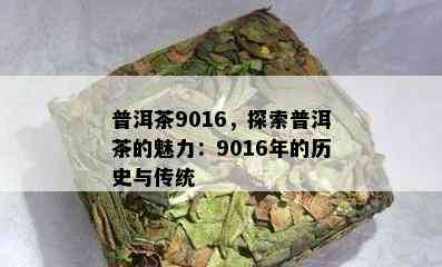 普洱茶9016，探索普洱茶的魅力：9016年的历史与传统