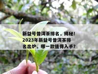 新益号普洱茶排名，揭秘！2023年新益号普洱茶排名出炉，哪一款值得入手？