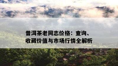 普洱茶老同志价格：查询、收藏价值与市场行情全解析