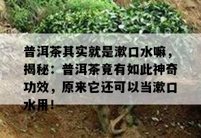 普洱茶其实就是漱口水嘛，揭秘：普洱茶竟有如此神奇功效，原来它还可以当漱口水用！