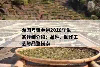 龙园号黄金饼2018年生茶详细介绍：品种、制作工艺与品鉴指南