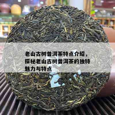 老山古树普洱茶特点介绍，探秘老山古树普洱茶的独特魅力与特点