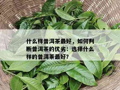 什么样普洱茶更好，如何判断普洱茶的优劣：选择什么样的普洱茶更好？