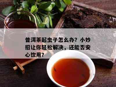 普洱茶起虫子怎么办？小妙招让你轻松解决，还能否安心饮用？