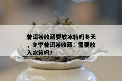 普洱茶收藏要放冰箱吗冬天，冬季普洱茶收藏：需要放入冰箱吗？