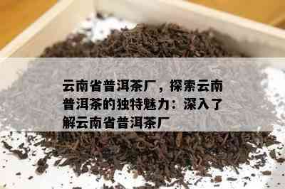 云南省普洱茶厂，探索云南普洱茶的独特魅力：深入了解云南省普洱茶厂