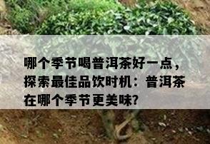 哪个季节喝普洱茶好一点，探索更佳品饮时机：普洱茶在哪个季节更美味？