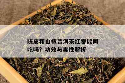 陈皮和山楂普洱茶红枣能同吃吗？功效与性解析