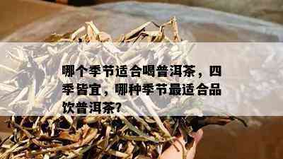 哪个季节适合喝普洱茶，四季皆宜，哪种季节最适合品饮普洱茶？