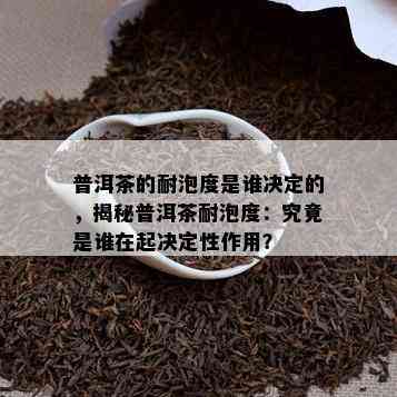 普洱茶的耐泡度是谁决定的，揭秘普洱茶耐泡度：究竟是谁在起决定性作用？