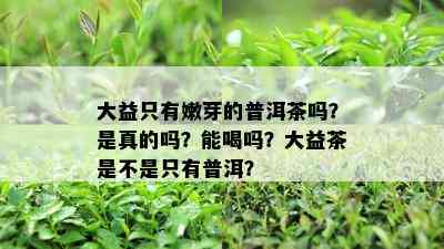 大益只有嫩芽的普洱茶吗？是真的吗？能喝吗？大益茶是不是只有普洱？