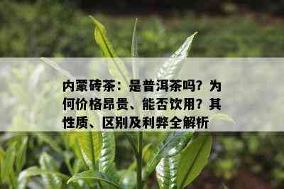 内蒙砖茶：是普洱茶吗？为何价格昂贵、能否饮用？其性质、区别及利弊全解析