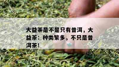 大益茶是不是只有普洱，大益茶：种类繁多，不只是普洱茶！