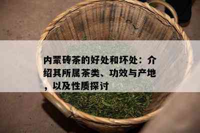 内蒙砖茶的好处和坏处：介绍其所属茶类、功效与产地，以及性质探讨