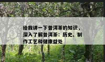 给我讲一下普洱茶的知识，深入了解普洱茶：历史、制作工艺和健康益处