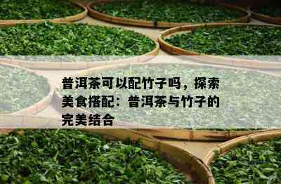 普洱茶可以配竹子吗，探索美食搭配：普洱茶与竹子的完美结合