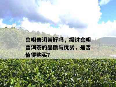 宫明普洱茶好吗，探讨宫明普洱茶的品质与优劣，是否值得购买？