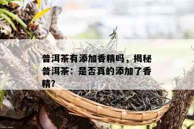 普洱茶有添加香精吗，揭秘普洱茶：是否真的添加了香精？