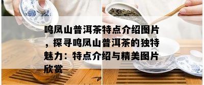 鸣凤山普洱茶特点介绍图片，探寻鸣凤山普洱茶的独特魅力：特点介绍与精美图片欣赏