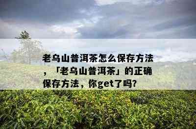 老乌山普洱茶怎么保存方法，「老乌山普洱茶」的正确保存方法，你get了吗？