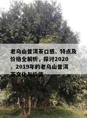 老乌山普洱茶口感、特点及价格全解析，探讨2020、2019年的老乌山普洱茶文化与价值