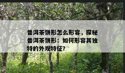 普洱茶饼形怎么形容，探秘普洱茶饼形：如何形容其独特的外观特征？
