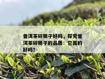 普洱茶碎银子好吗，探究普洱茶碎银子的品质：它真的好吗？