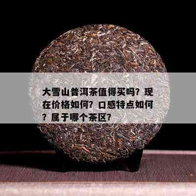 大雪山普洱茶值得买吗？现在价格如何？口感特点如何？属于哪个茶区？