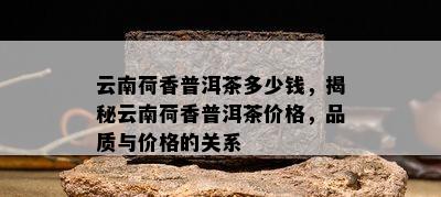 云南荷香普洱茶多少钱，揭秘云南荷香普洱茶价格，品质与价格的关系