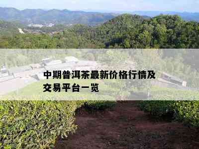 中期普洱茶最新价格行情及交易平台一览