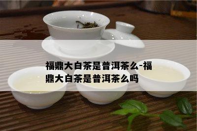 福鼎大白茶是普洱茶么-福鼎大白茶是普洱茶么吗