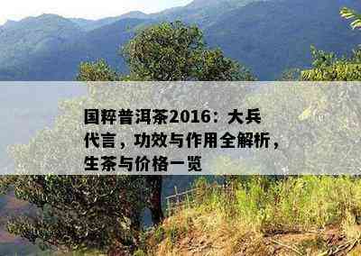 国粹普洱茶2016：大兵代言，功效与作用全解析，生茶与价格一览