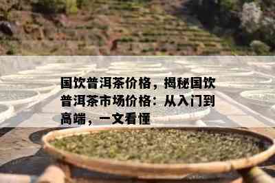 国饮普洱茶价格，揭秘国饮普洱茶市场价格：从入门到高端，一文看懂