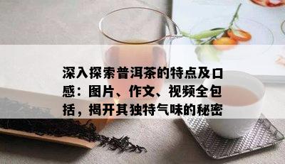 深入探索普洱茶的特点及口感：图片、作文、视频全包括，揭开其独特气味的秘密