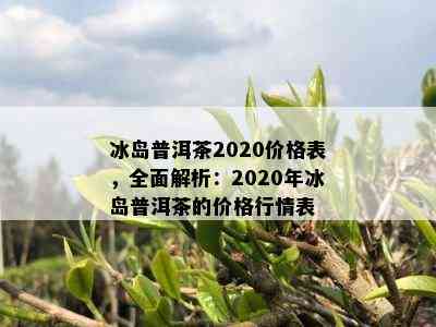 冰岛普洱茶2020价格表，全面解析：2020年冰岛普洱茶的价格行情表