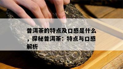 普洱茶的特点及口感是什么，探秘普洱茶：特点与口感解析