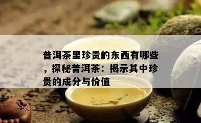 普洱茶里珍贵的东西有哪些，探秘普洱茶：揭示其中珍贵的成分与价值