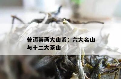 普洱茶两大山系：六大名山与十二大茶山