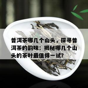 普洱茶哪几个山头，探寻普洱茶的韵味：揭秘哪几个山头的茶叶最值得一试？